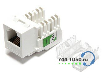 Модуль Keystone Jack RJ-12 (6P4C), категория 3, DUAL IDC SINELLS SNL-dual6p4c3